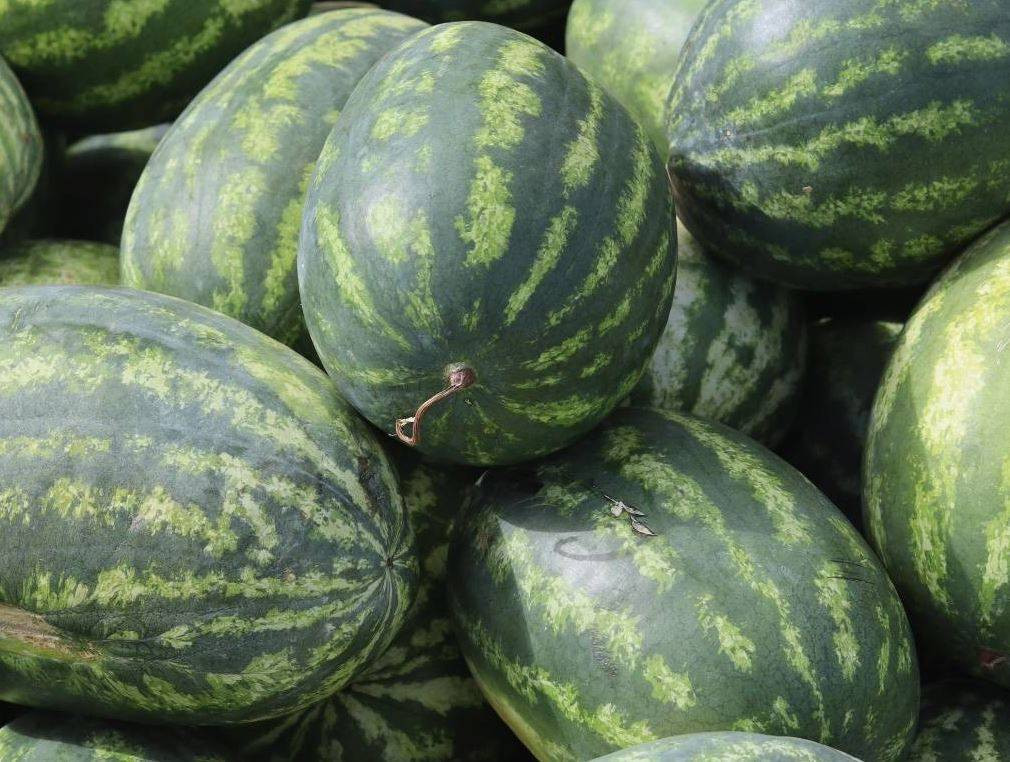 Usta manavlar biliyor sadece bu sırları! Karpuz seçerken yapın asla kelek çıkmıyor - Resim: 31